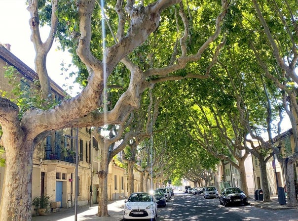 Beaucaire, Occitanie 30300