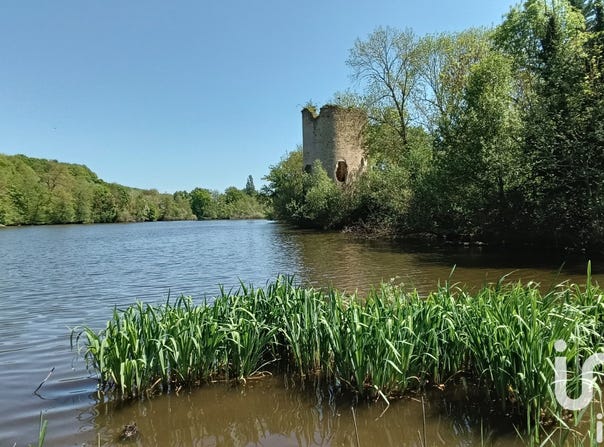 Châteaumeillant, Centre-Val de Loire 18370
