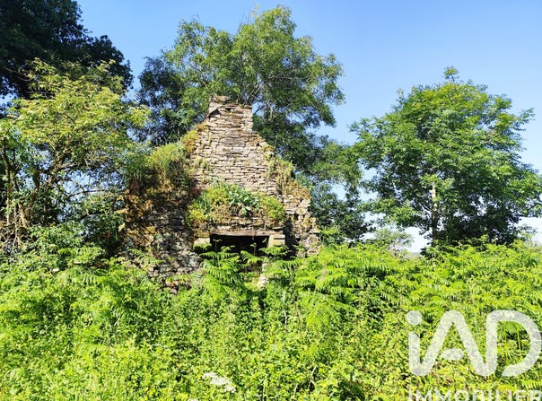 Allaire, Brittany 56350
