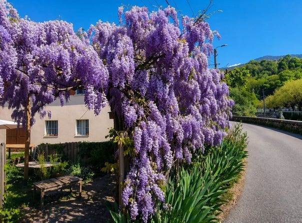Pontcharra, Auvergne-Rhône-Alpes 38530