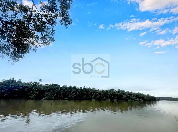 Roura, French Guiana 97311