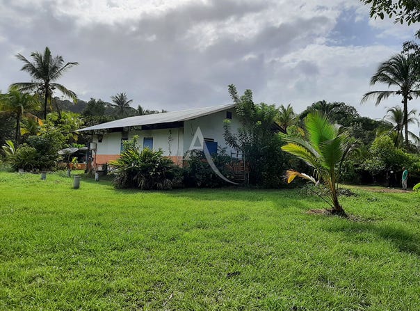 ROURA, Cayenne 97311