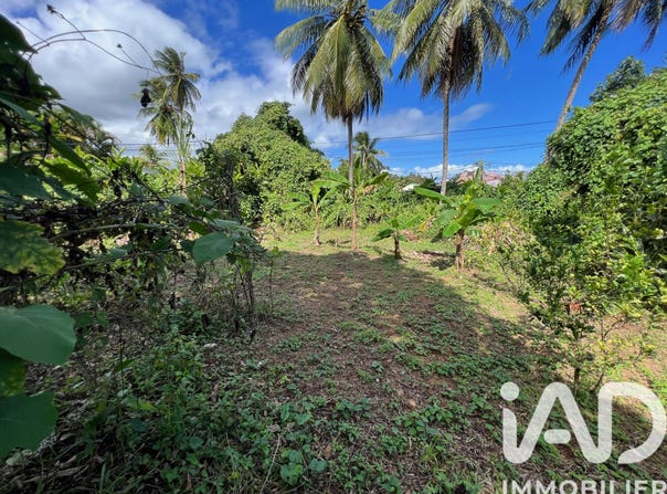 Capesterre-Belle-Eau, Basse-Terre 97130