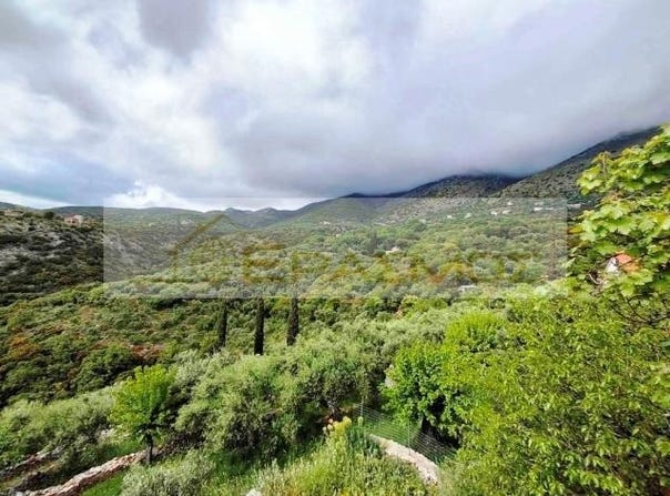 Pedino, Peloponnese 24022