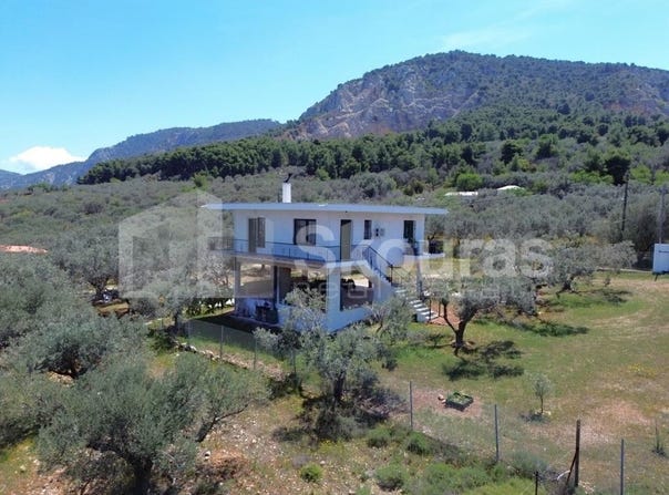 Xylokeriza, Peloponnese 20100