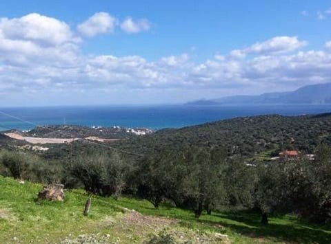 Agios Nikolaos, Lasithi 72100