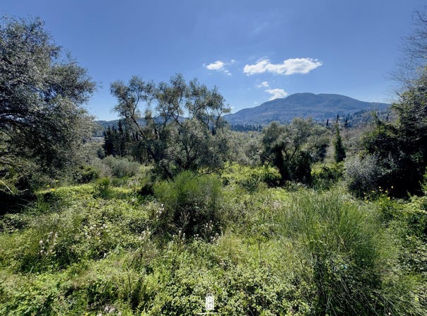 Souleika, Ionian Islands 49084