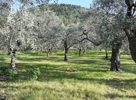 Thásos, Macedonia