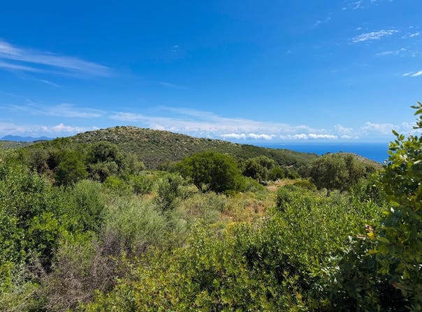 Elies, Elies, Peloponnese, Western Greece and the Ionian 290 91