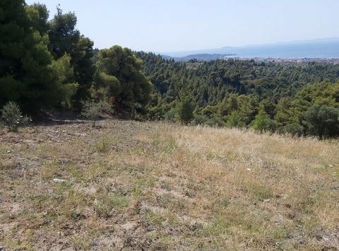Sithonia, Chalkidiki 60388