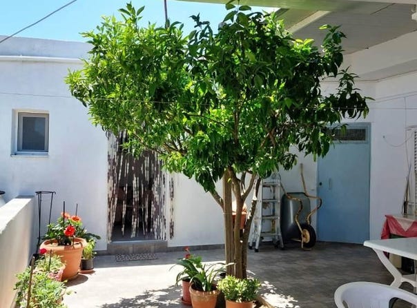 Chandras, Crete 72059