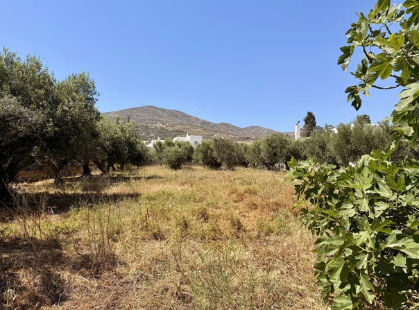 Dryos, South Aegean 84400