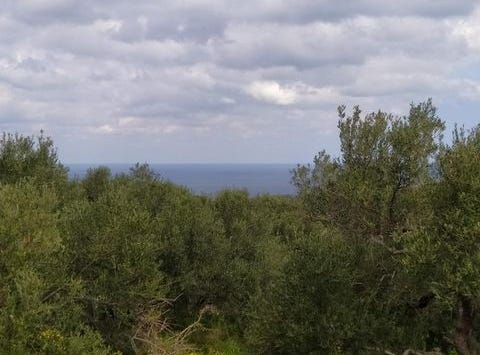 Agios Nikolaos, Lasithi 72053
