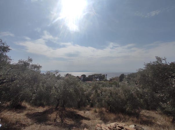 Milies, Thessaly 37010