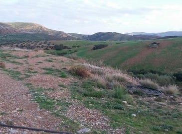 Kouremenos, Kríti 723 00
