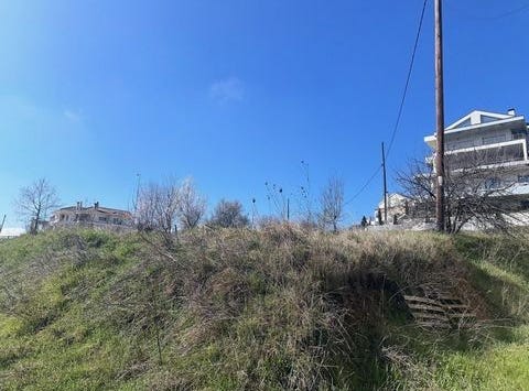 Ioannina, Ípiros 45221