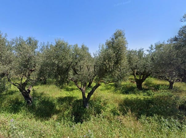 Lithakia, Ionian Islands 29092