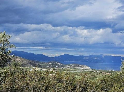 Ierapetra, Lasithi 72200