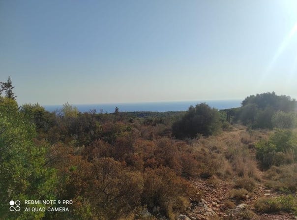 Agioi Pantes, Ionian Islands 29092