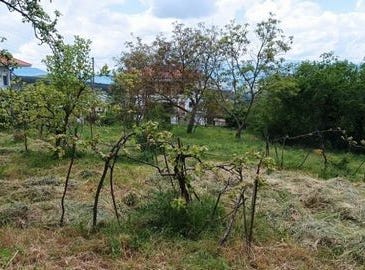 Ioannina, Ípiros 45500