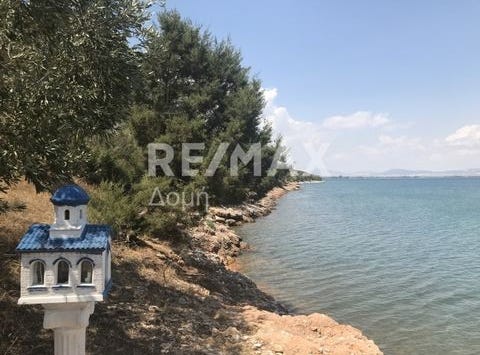 Amaliapoli, Magnesia