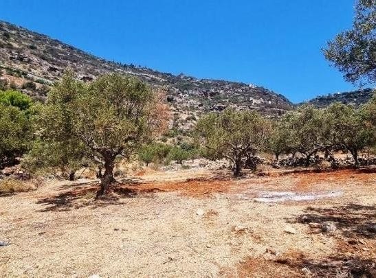 Καραβοστάσι, Peloponnese 23062