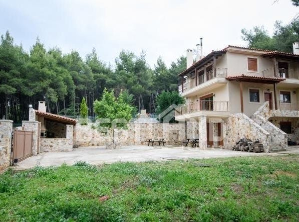 Agios Stefanos, Attica 14565