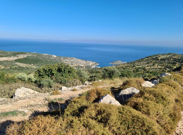 Agios Nikolaos, Ionian Islands 29091