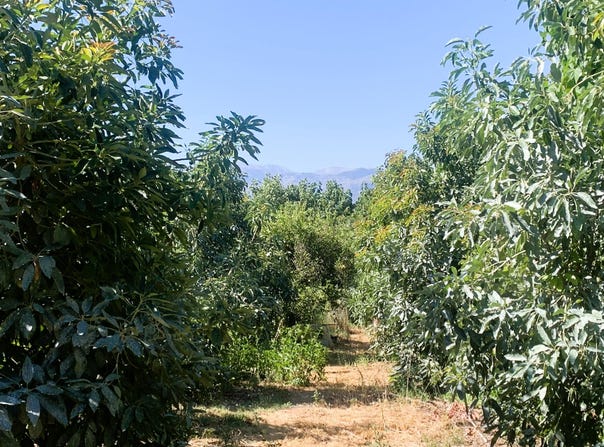 Agia, Crete 73014