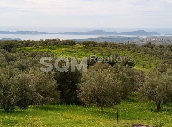 Chiliochoria, Peloponnese, Western Greece and the Ionian Pilos Nestor 240 01, Greece