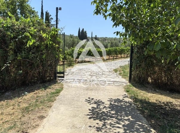 Ancient Nemea, Peloponnese 20500