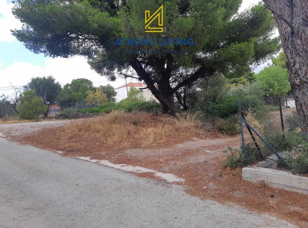 Anthousa, Attica (region) 153 49