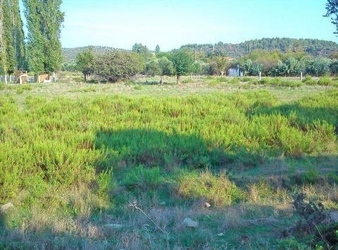 Sithonia, Chalkidiki 63072