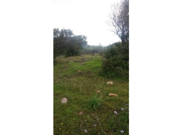 Agkathia, Macedonia 590 31