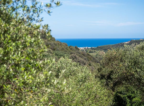Vrises, Crete 73014