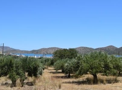 Elounda, Kríti