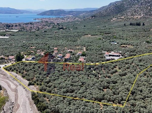 Soutrali, Thessaly 38500