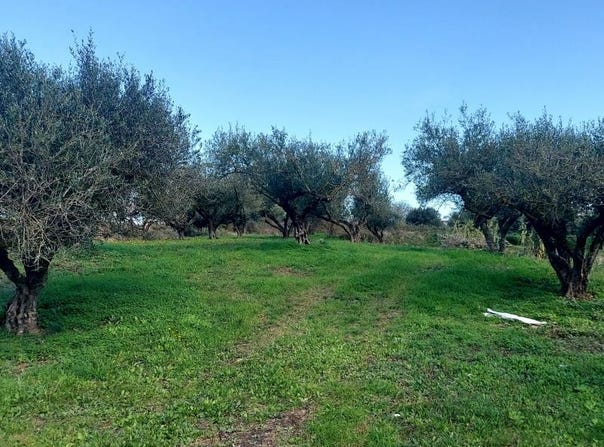 Lixoyri, Ionian Islands 28200