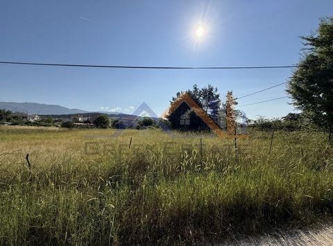 Ioannina, Ípiros 45500