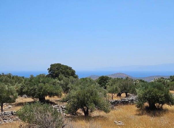 Epano Pines, Crete 72100