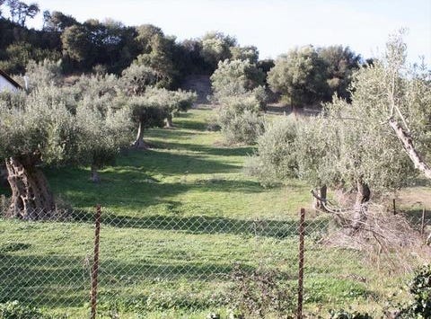 Kassandra, Chalkidiki 63077