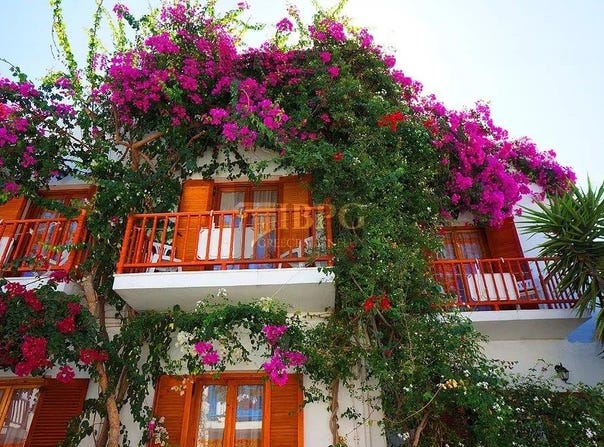 Parikia -Paros, South Aegean 84400