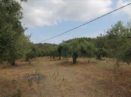 Sithonia, Chalkidiki 1