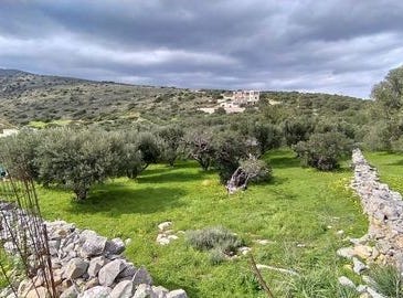 Agios Nikolaos, Lasithi 72053
