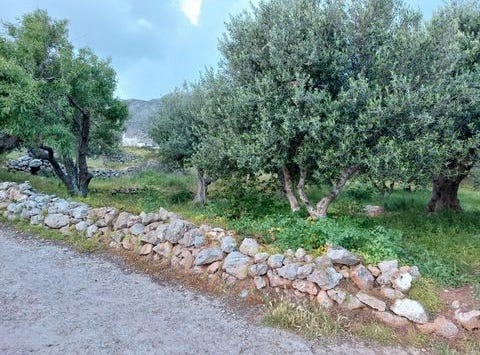 Kato Zakros, Kríti 723 00