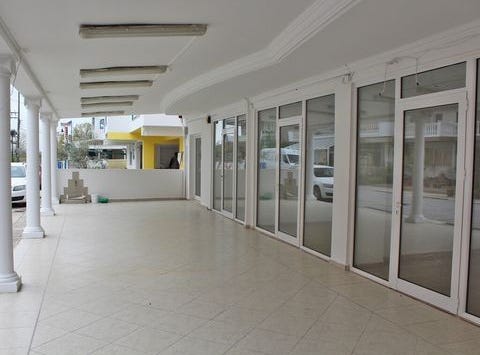 Katerini, Pieria Prefecture 60100