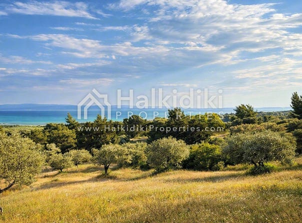 Vourvourou, Central Macedonia 63078