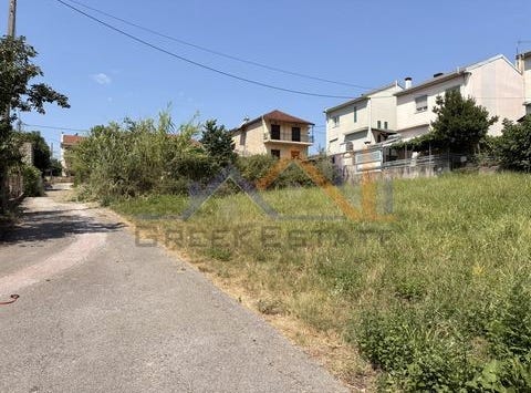 Ioannina, Ípiros 45221