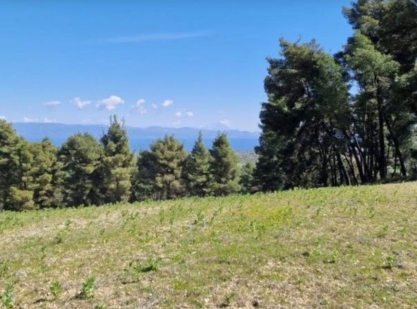 Paliouri, Central Macedonia 63085