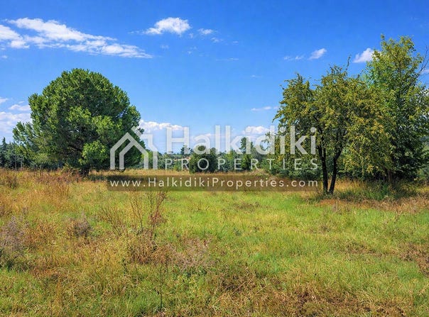 Chaniotis, Central Macedonia 63085